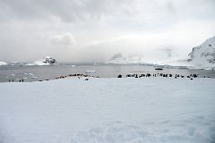 12A Cuverville Island And Sable Pinnacles Panoramic View From Top of Danco Island With Penguins On Quark Expeditions Antarctica Cruise.jpg